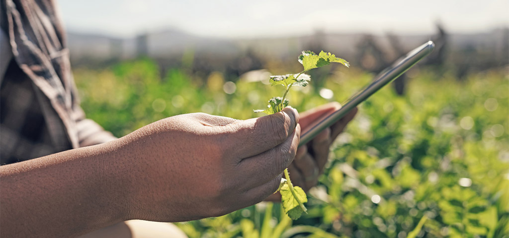 Mann mit Tablet bei der Farmarbeit in Kenia | © GettyImages/PeopleImages Mann mit Tablet bei der Arbeit auf einer Farm in Kenia