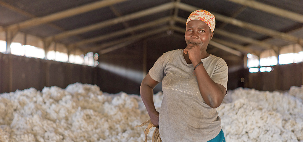 Biologischer Baumwollanbau in Uganda, verschiedene Arbeitsschritte | © Klaus Mellenthin Biologischer Baumwollanbau in Uganda, verschiedene Arbeitsschritte