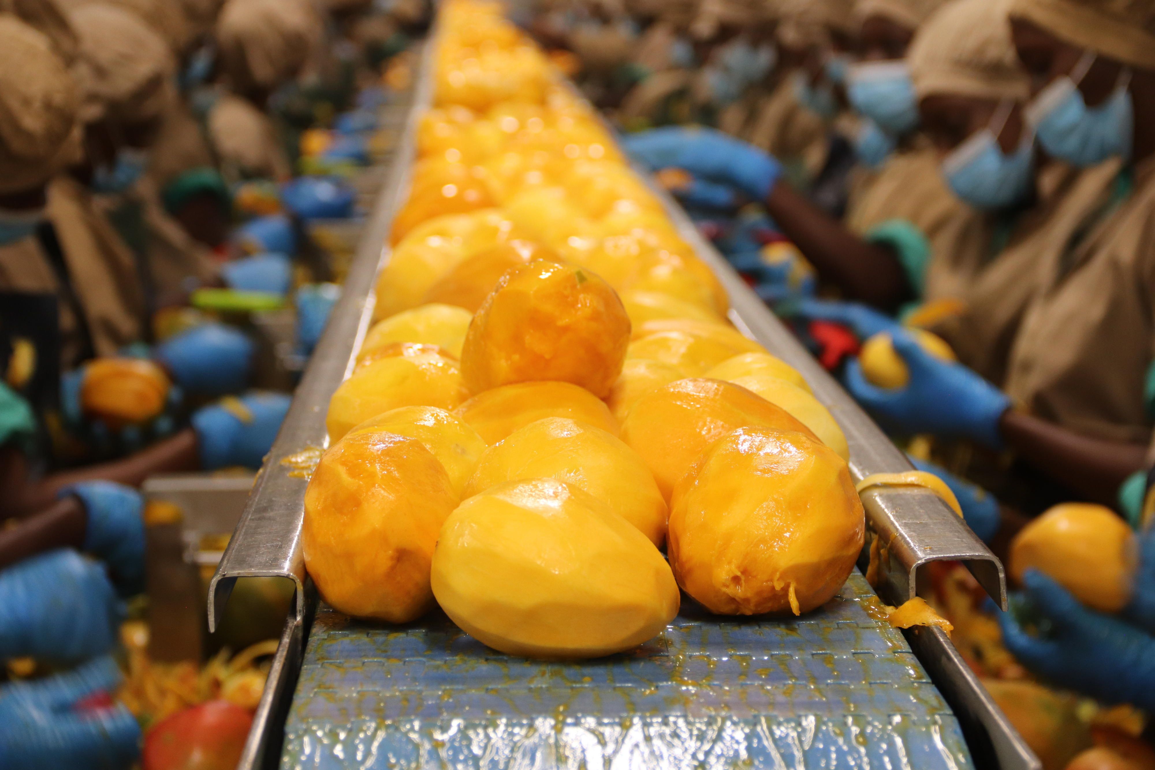 Africa Business Guide - Einkauf: Qualität bei Mangos und Nüssen aus ...