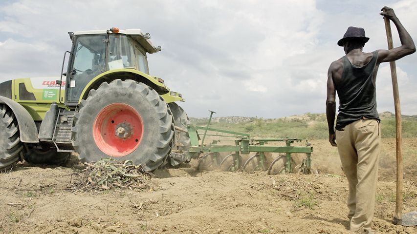 Mann vor Mähdrescher im Feld
