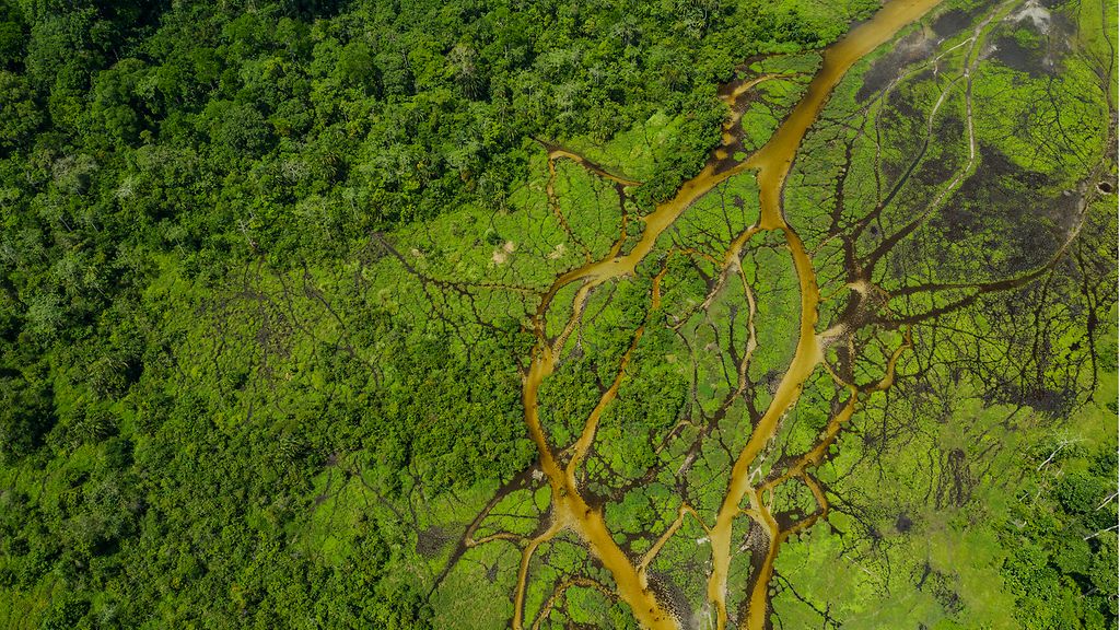Luftaufnahme von Flussarmen im Regenwald des Kongobeckens, Odzala-Nationalpark, Republik Kongo.